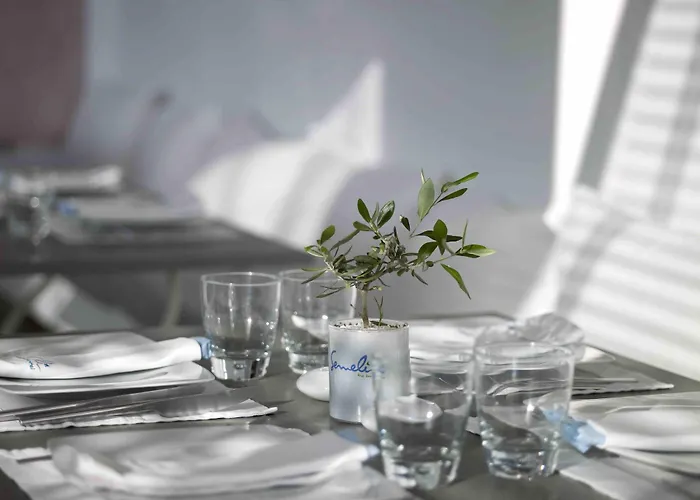 فندق Semeli Mykonos 5*