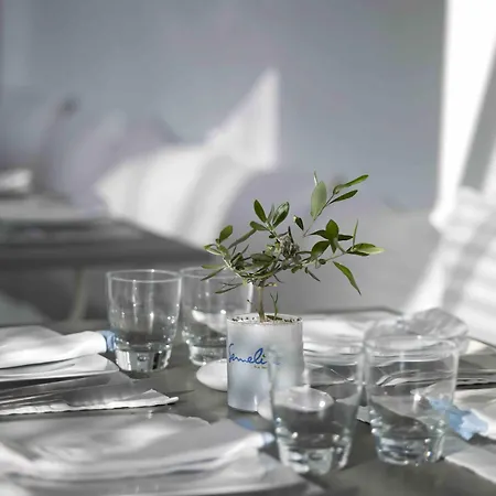 酒店 Semeli Mykonos 5*
