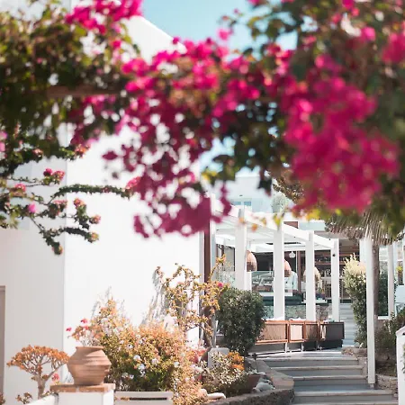 호텔 Semeli Mykonos Mykonos Town