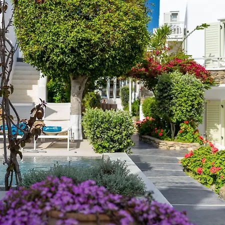 Semeli Mykonos فندق